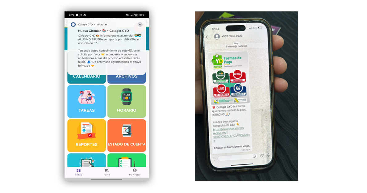 Notificaciones y WhatsApp para Colegios